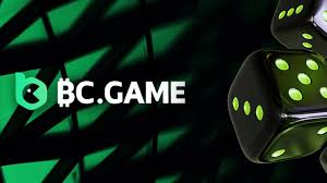 Essential BC.Game Contact Details for Players Essential BC.Game Contact Details for Players